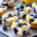 Blueberry and Lemon Zest Cottage Cheese Bites – Healthy, Easy Snack Idea